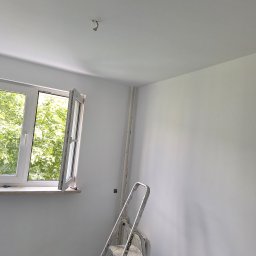 Katarzyna Wartecka - Świeżo pomalowane na biało wnętrze, widok na otwarte okno z zielenią na zewnątrz, drabina oparta o ścianę, widoczne ślady po gniazdku elektrycznym.