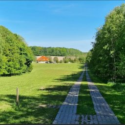 IN PURIS SPÓŁKA Z OGRANICZONĄ ODPOWIEDZIALNOŚCIĄ - Oddalony dom z pomarańczowym dachem widziany z perspektywy długiej, brukowanej drogi przez zielony trawnik i drzewa w słoneczny dzień.