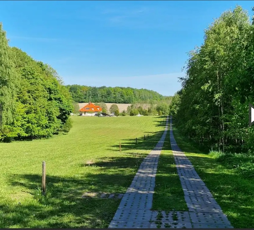 Oddalony dom z pomarańczowym dachem widziany z perspektywy długiej, brukowanej drogi przez zielony trawnik i drzewa w słoneczny dzień.