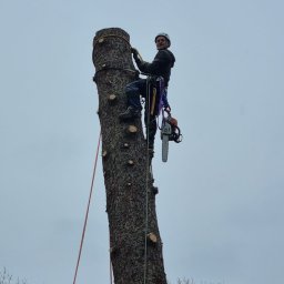 Alpin Job Wiesław Kasprzyk - Tanie Mycie Dachów Chodzież