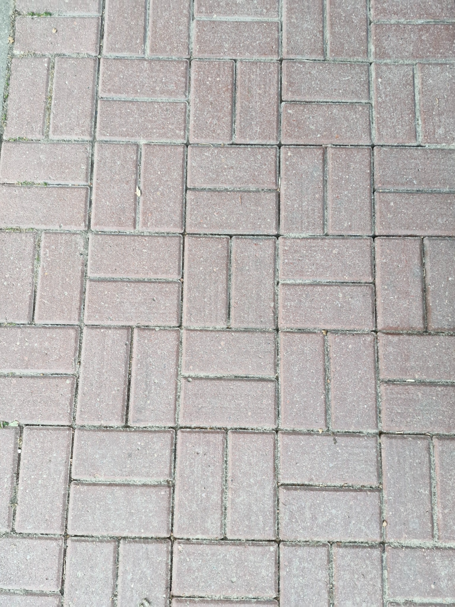 Ułożona z czerwonej kostki brukowej powierzchnia, widoczne minimalne zabrudzenia w spoinach, układ wzoru w jodełkę.