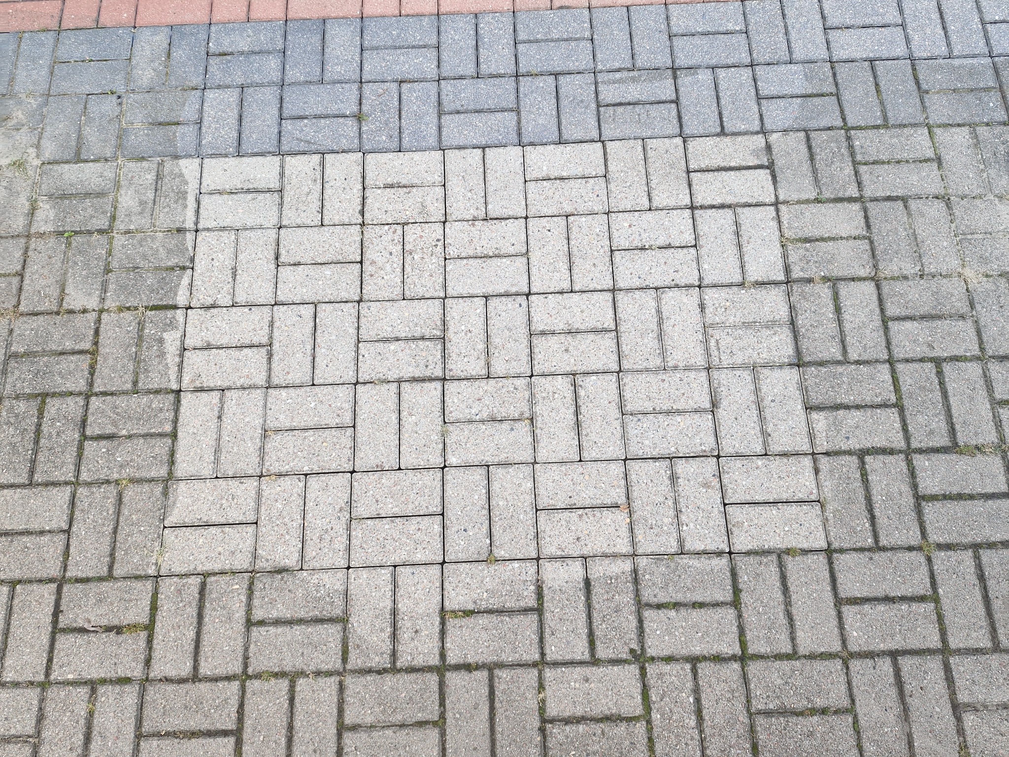 Fragment kostki brukowej, z widoczną różnicą w czystości między umytą a nieumytą częścią, z kilkoma źdźbłami trawy w szczelinach.