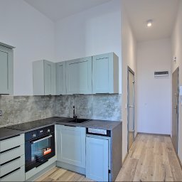 Mikołaj Janowski - Nowoczesna, jasna kuchnia z szarymi szafkami, czarnym blatem i płytą indukcyjną, widok na przedpokój z drewnopodobną podłogą i drzwiami.