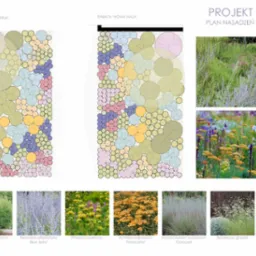 Plan nasadzeń rabat 'Furtka' i 'Nowa Hala' z widokiem na fragmenty zrealizowanych nasadzeń i zdjęcia poszczególnych roślin.