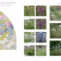 Projekt rabaty kwiatowej z układem ogólnym i inspiracjami, prezentujący schemat nasadzeń z różnymi gatunkami roślin, w tym Dianthus cartusianorum, Origanum laevigatum 'Rosenkuppel', Achillea...