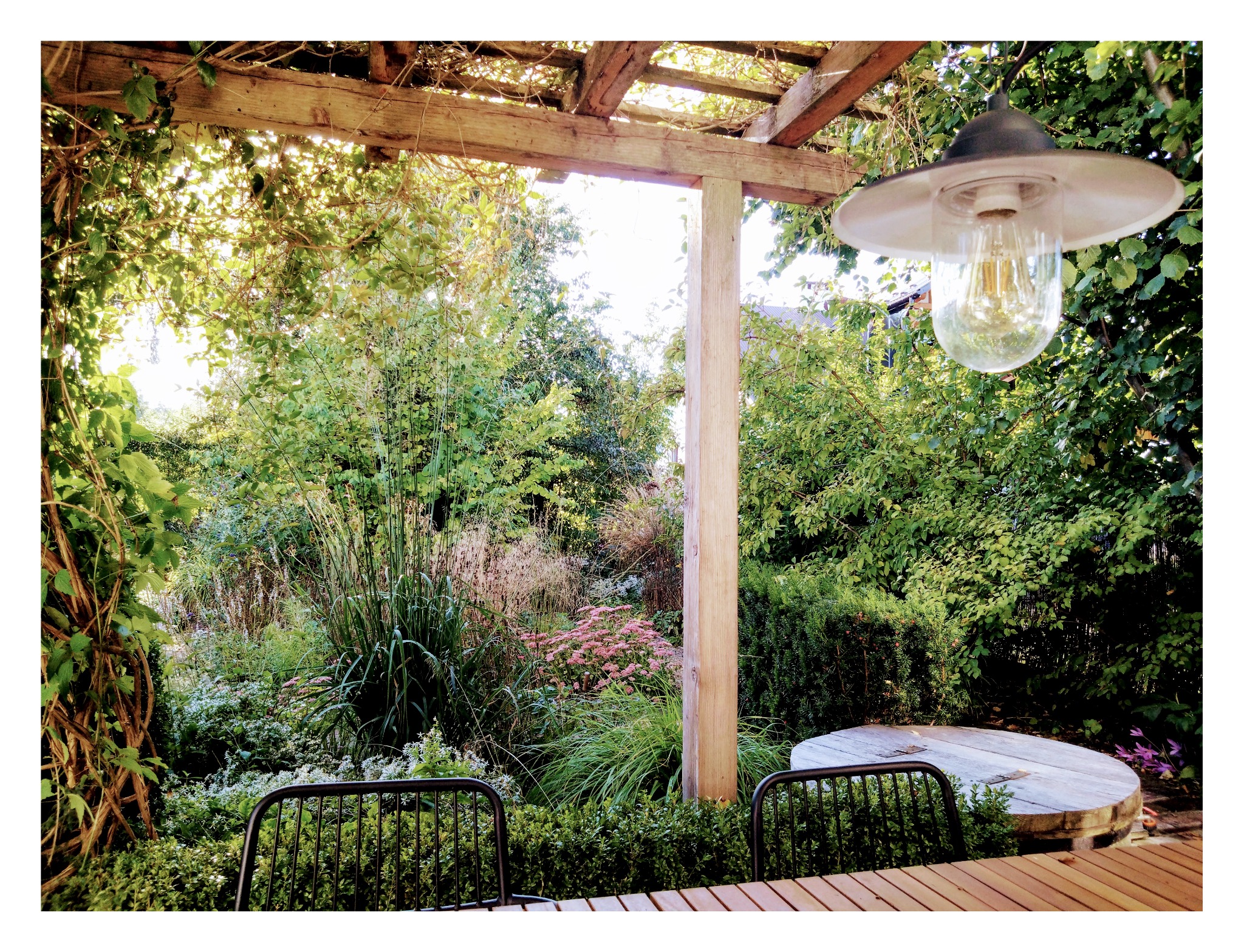 Pergola z oświetleniem w bujnym ogrodzie, widok z drewnianego tarasu z metalowymi krzesłami.