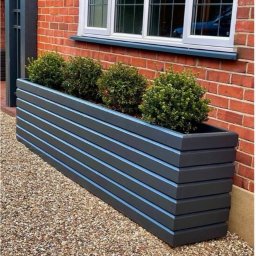 WOJCIECH GRĘBOWICZ - Długa, prostokątna, ciemnoszara donica z poziomych desek z jasnymi przerwami, ustawiona przed ceglaną ścianą domu i oknem, wypełniona trzema kulistymi krzewami na żwirowym podłożu.