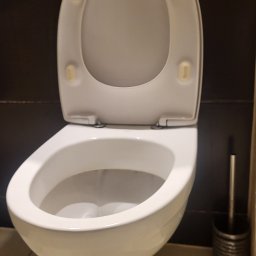Patriot - Biała, otwarta muszla klozetowa z deską na tle ciemnych płytek i beżowej podłogi. Widoczna szczotka do WC. Precyzyjne czyszczenie toalety w łazience.