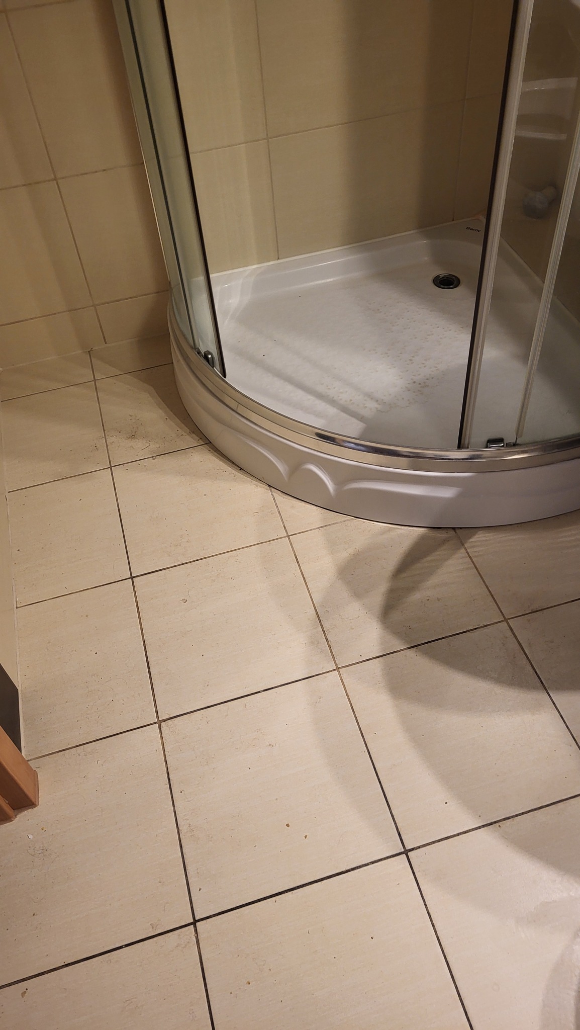 Brudna kabina prysznicowa z osadami i włosami na brodziku oraz zabrudzone fugi na jasnych płytkach podłogowych przed czyszczeniem.