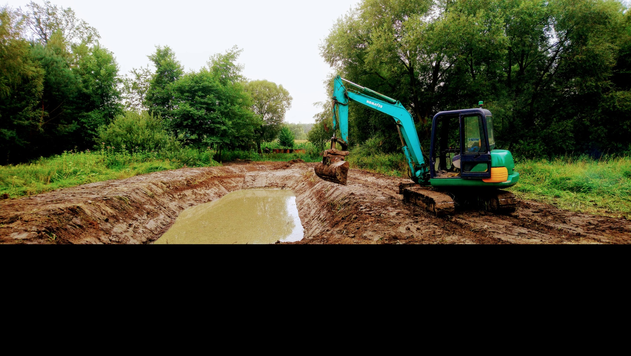 Niewielki stawik w podmokłym terenie.