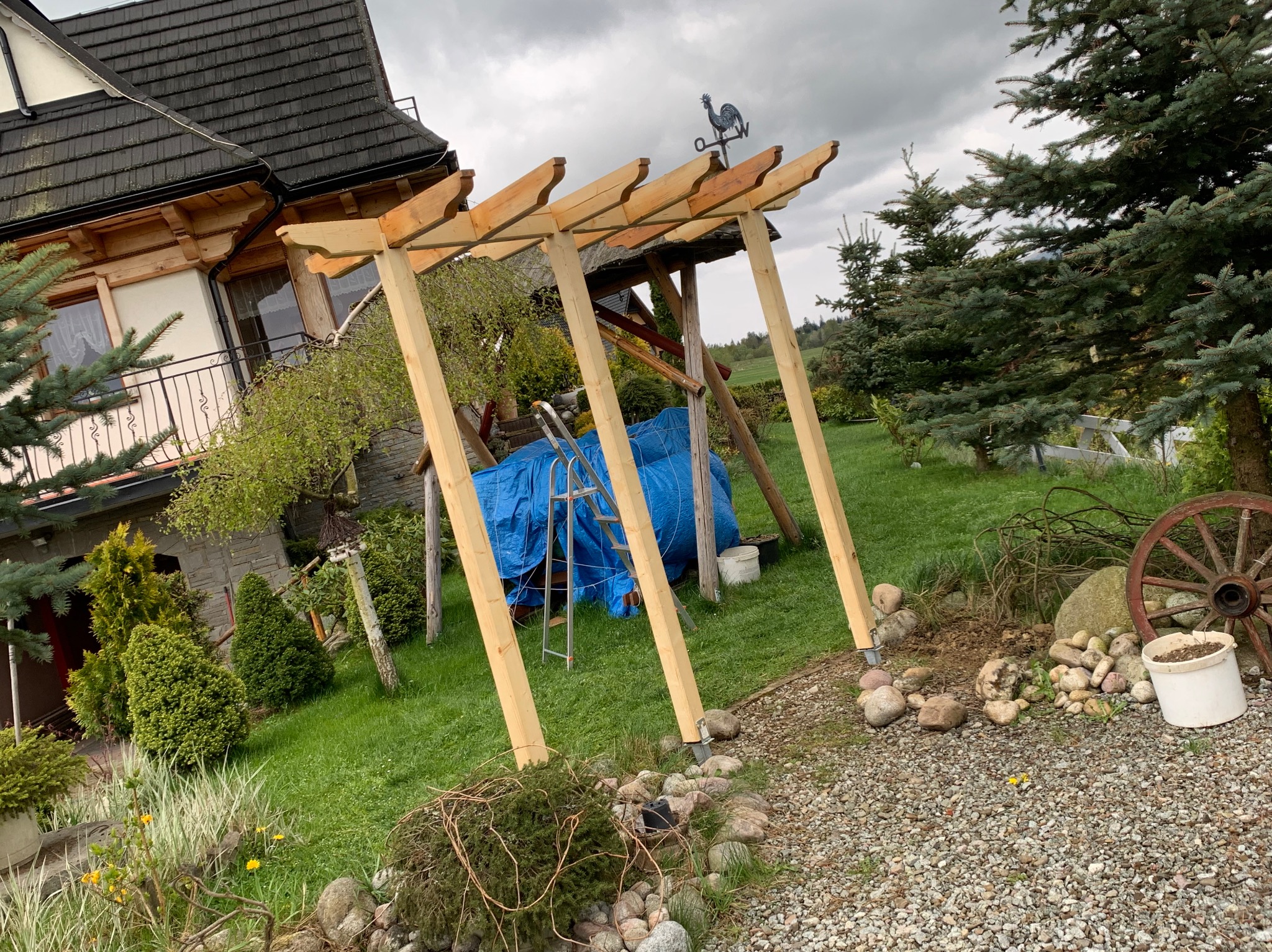 Konstrukcja drewniana altany w trakcie budowy, z widoczną niebieską plandeką, drabiną i dekoracyjnym wiatrowskazem w kształcie koguta na dachu, na tle domu z ciemnym dachem i zielonego ogrodu.