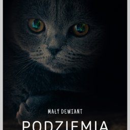 Projekt e-book Podziemia Biznesu 2025