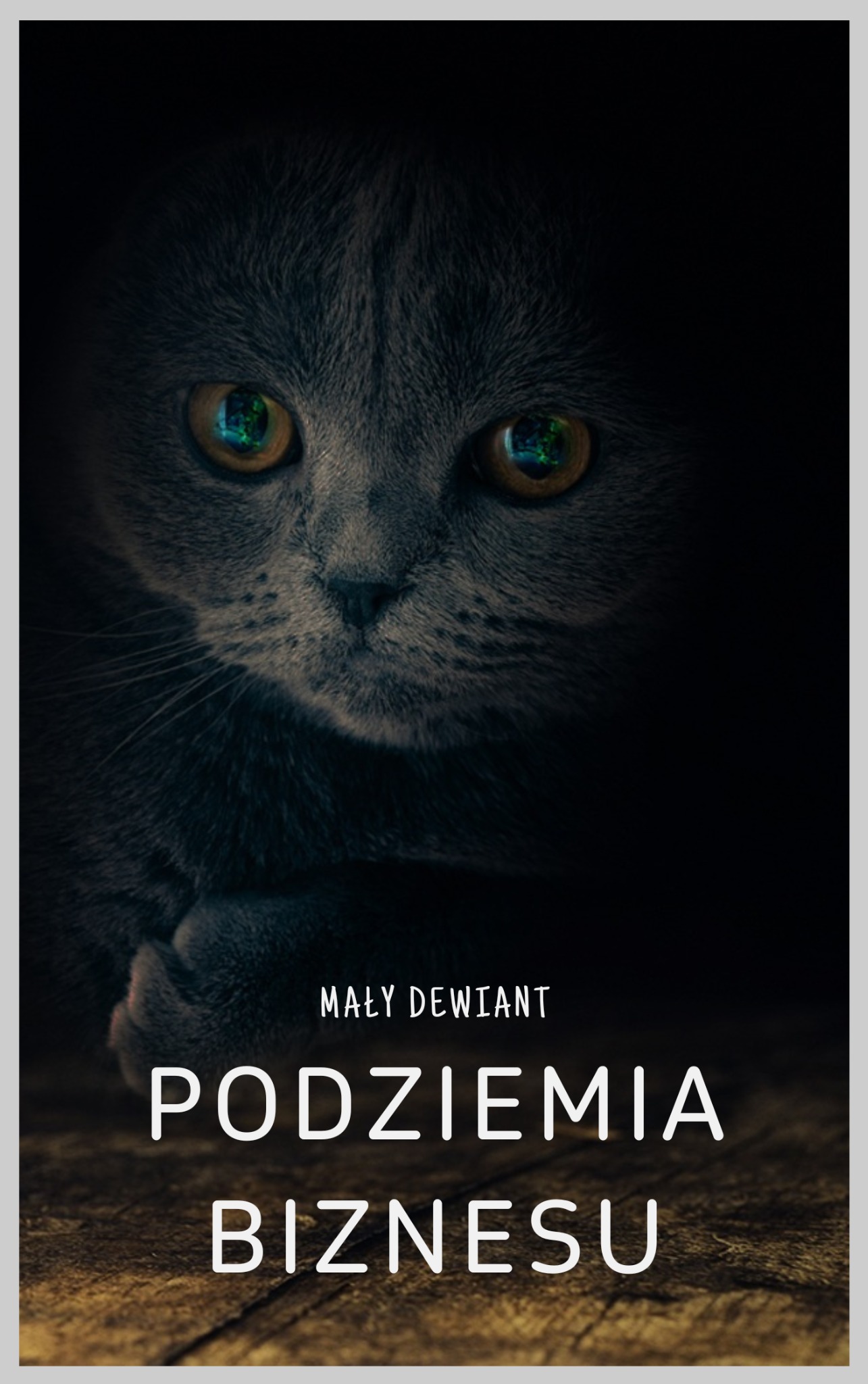 Projekt e-book Podziemia Biznesu 2025