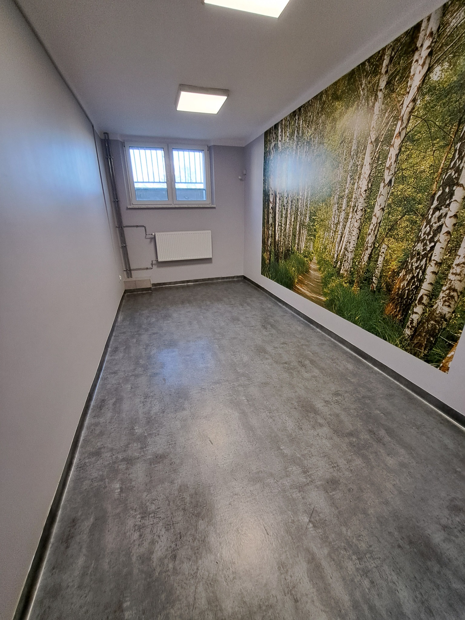 Pusta, szara sala z wykładziną PCV, okno z kratami, grzejnik i fototapeta z motywem brzozowego lasu na jednej ze ścian.