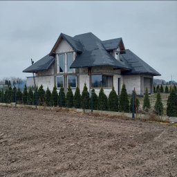 Bud Art - Pierwszorzędna Ściana w Płońsku