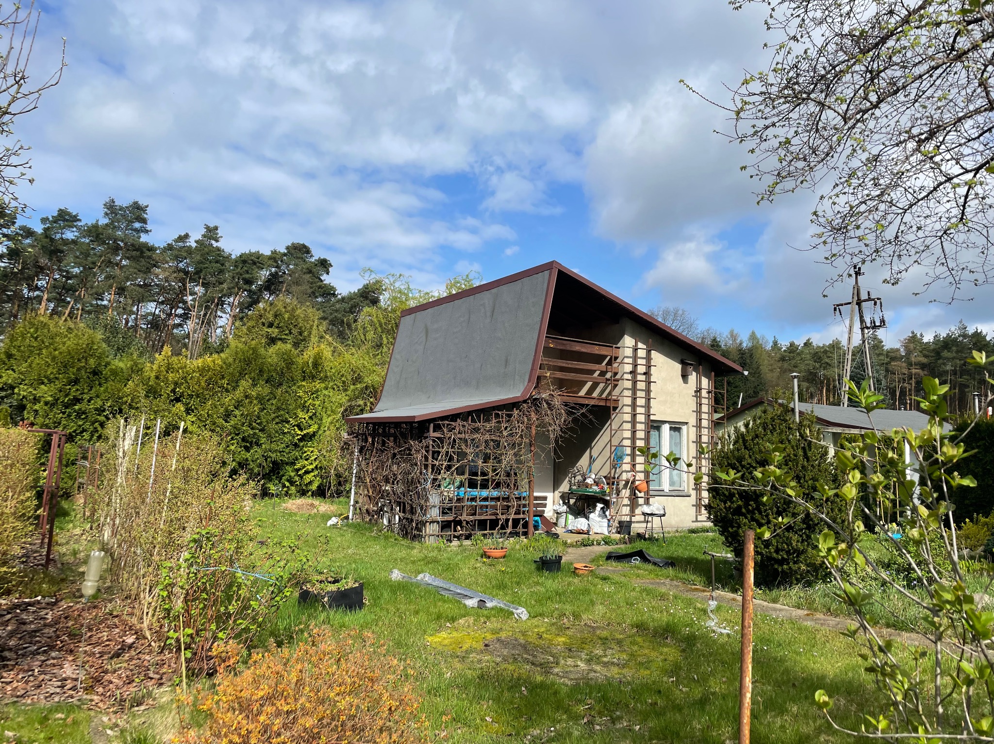 Dom z dwuspadowym dachem pokrytym papą, z drewnianym balkonem, otoczony zielenią i konstrukcją z pnączy.