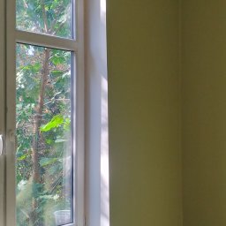 Jakub Remisz - Ściana pomalowana na zielono, widoczny biały grzejnik pod oknem z widokiem na drzewa, jasne panele podłogowe.