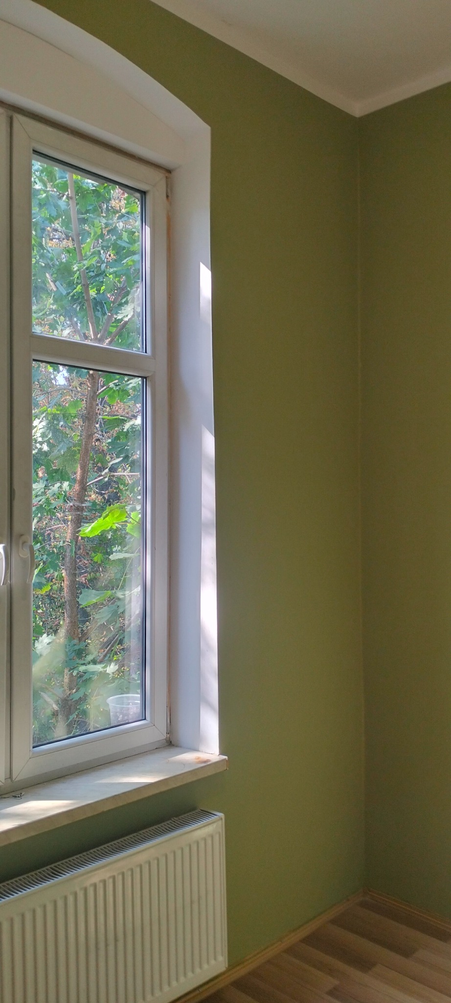 Ściana pomalowana na zielono, widoczny biały grzejnik pod oknem z widokiem na drzewa, jasne panele podłogowe.