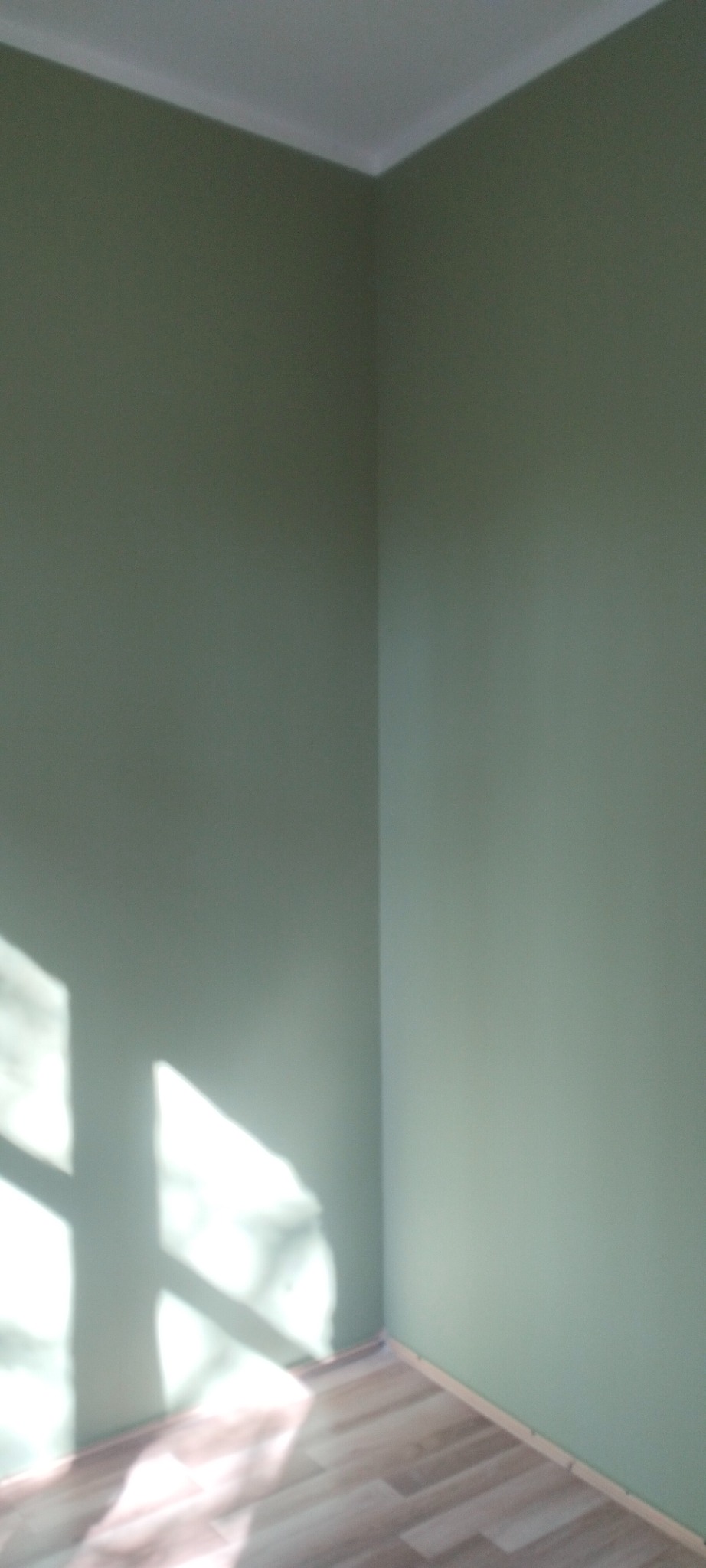 Pomieszczenie po malowaniu ścian na oliwkowy kolor, widoczne promienie słoneczne padające na ścianę i fragment podłogi wyłożonej panelami.