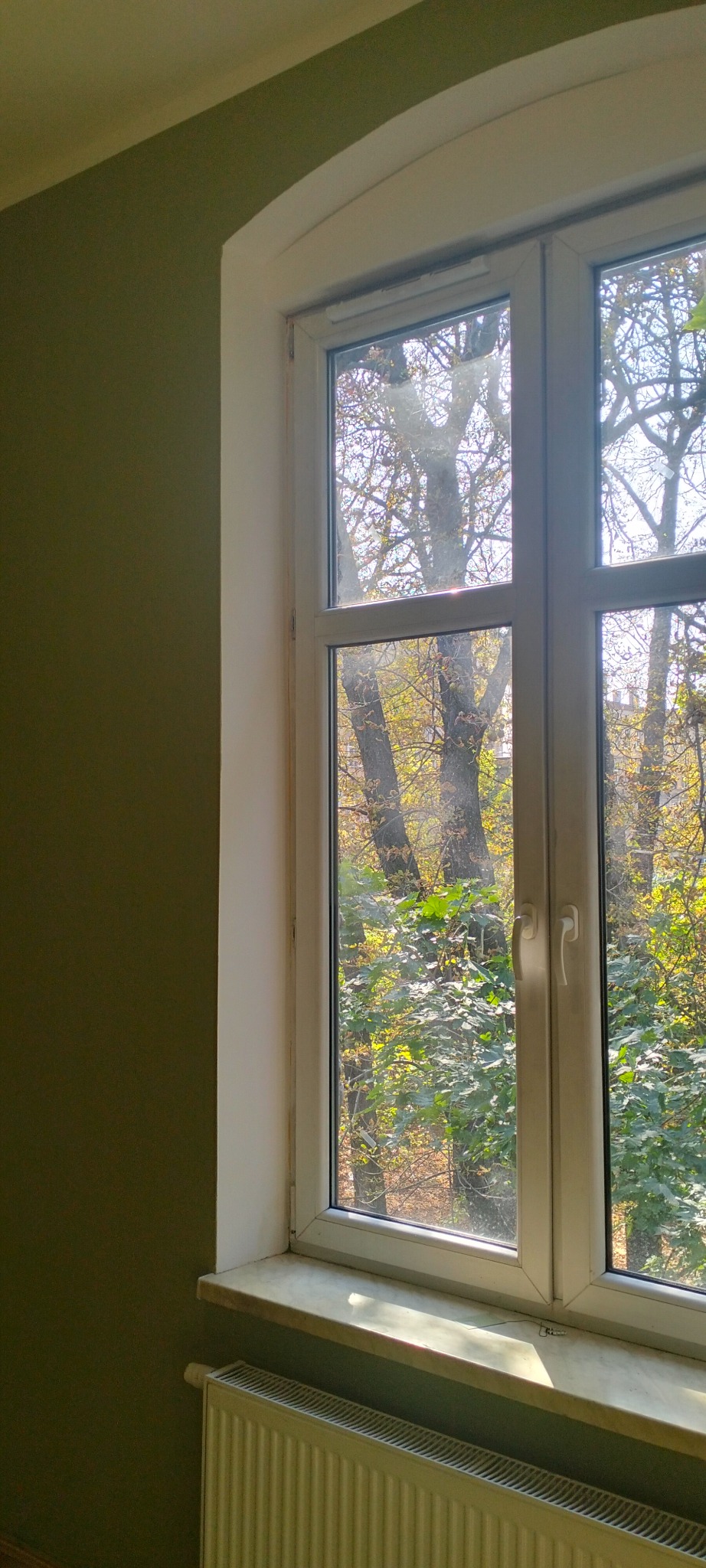 Pokój z oliwkową ścianą i białym oknem z widokiem na jesienne drzewa, biały parapet i grzejnik pod oknem.