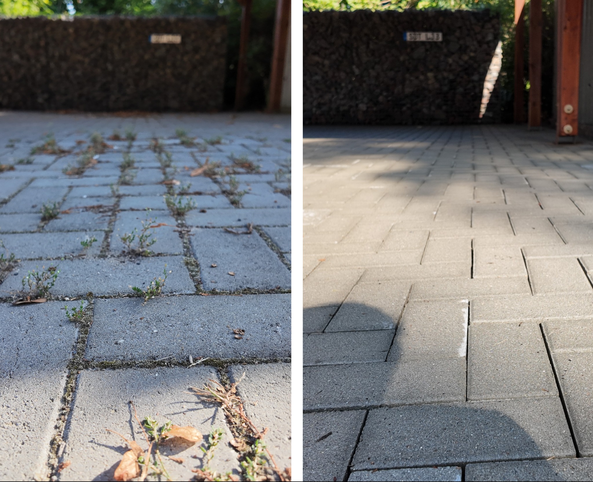 Porównanie stanu kostki brukowej przed i po czyszczeniu: po lewej stronie kostka z porostami i resztkami roślin, po prawej czysta kostka w promieniach słońca.
