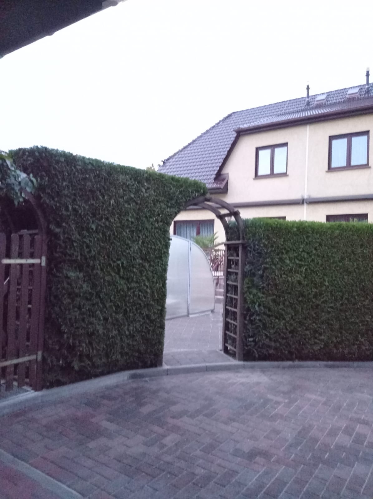 Gęsty, ciemnozielony żywopłot formowany w łuk nad wejściem na posesję z kostki brukowej, w tle dom z dwuspadowym dachem i jasną elewacją.