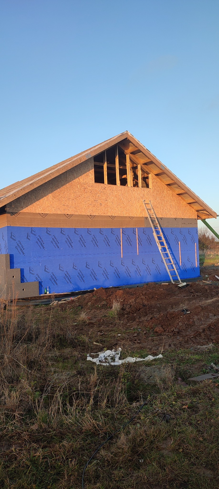 Budowa domu szkieletowego: ściany z izolacją, widoczna konstrukcja dachu z oknem. Drabina oparta o ścianę, teren budowy z roślinnością.