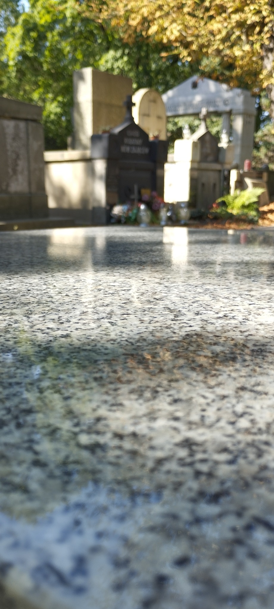 Błyszcząca, wypolerowana płyta nagrobna z szarego granitu z widocznymi w tle nagrobkami i zielenią cmentarza.