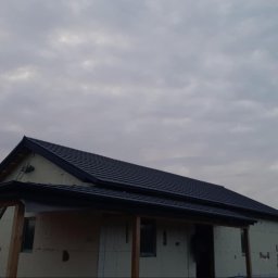 Blacha trapezowa Dobrzyca 4