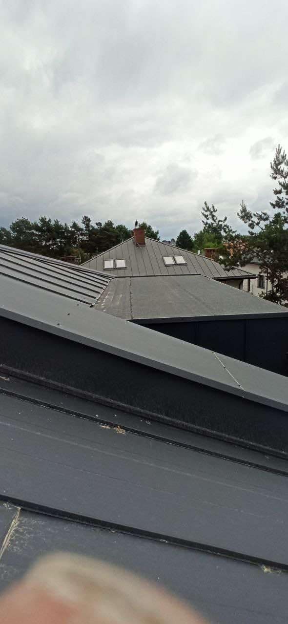 Nowoczesny dach z ciemnej blachy na tle pochmurnego nieba i zieleni drzew, widoczne okna dachowe i komin.