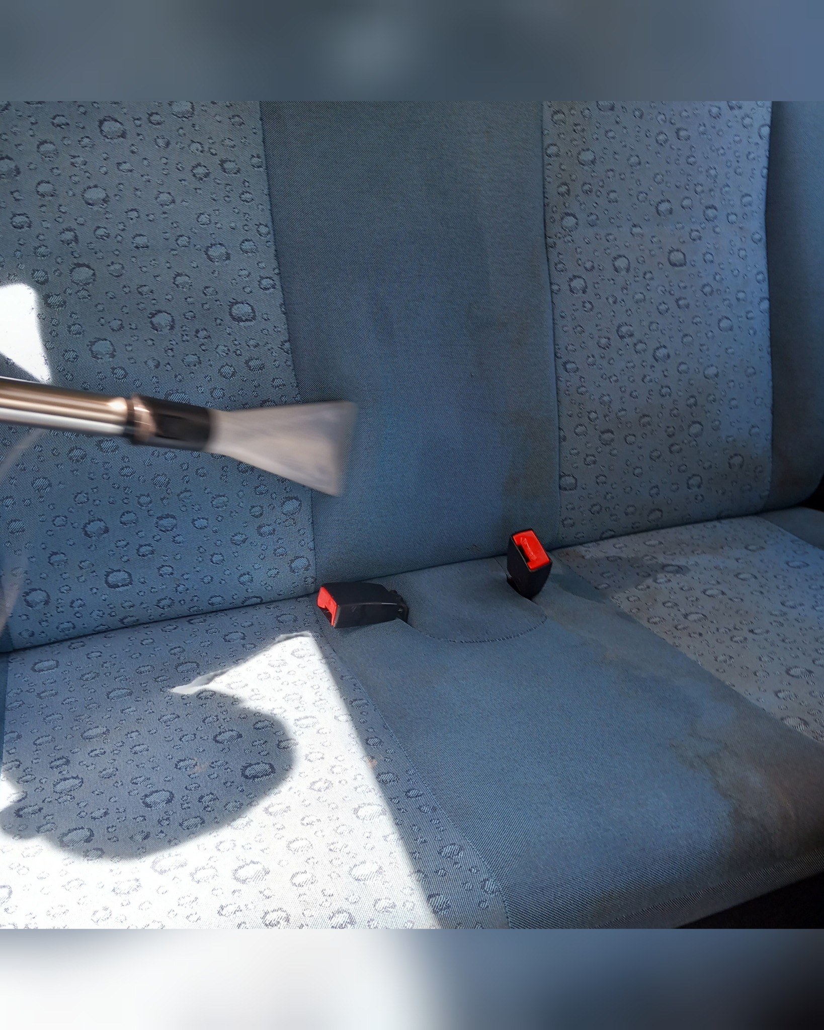 Dysza ekstraktora do tapicerki samochodowej czyści niebieskie siedzenie z wzorem kropelek, widoczne pasy czyszczenia i czerwone zatrzaski pasów bezpieczeństwa.