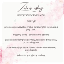 Na Błysk - Grafika z zakresem usług sprzątania generalnego pokojów: przecieranie mebli, mycie luster, lamp, kaloryferów, sprzętów RTV, odkurzanie i mycie podłóg, na kremowym tle z różowymi akcentami kwiatowymi.