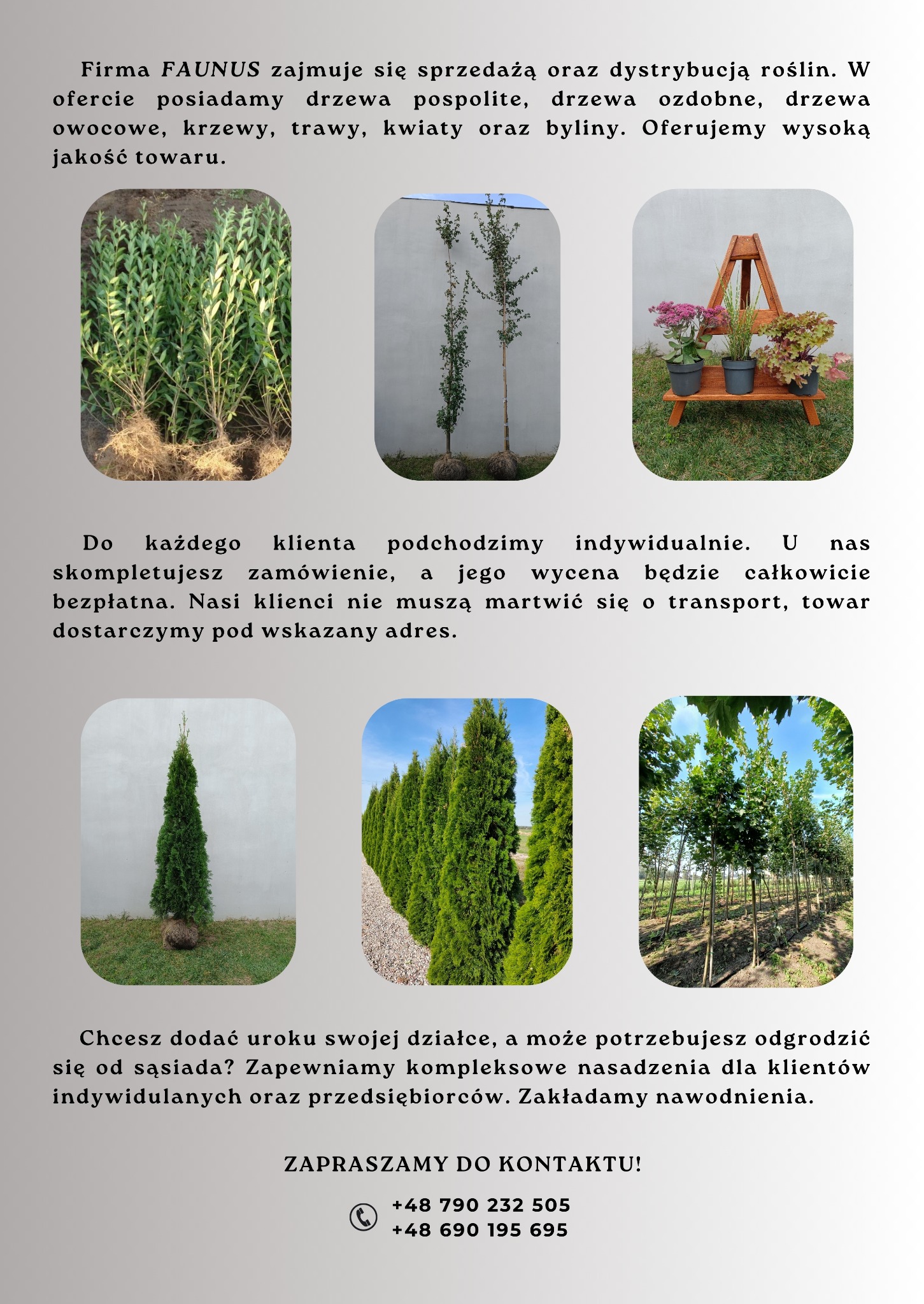 Kompozycja zdjęć prezentująca ofertę firmy FAUNUS: sadzonki roślin z widocznymi korzeniami, drzewka ozdobne z zabezpieczonym systemem korzeniowym, kompozycja kwiatów w doniczkach na drewnianym...