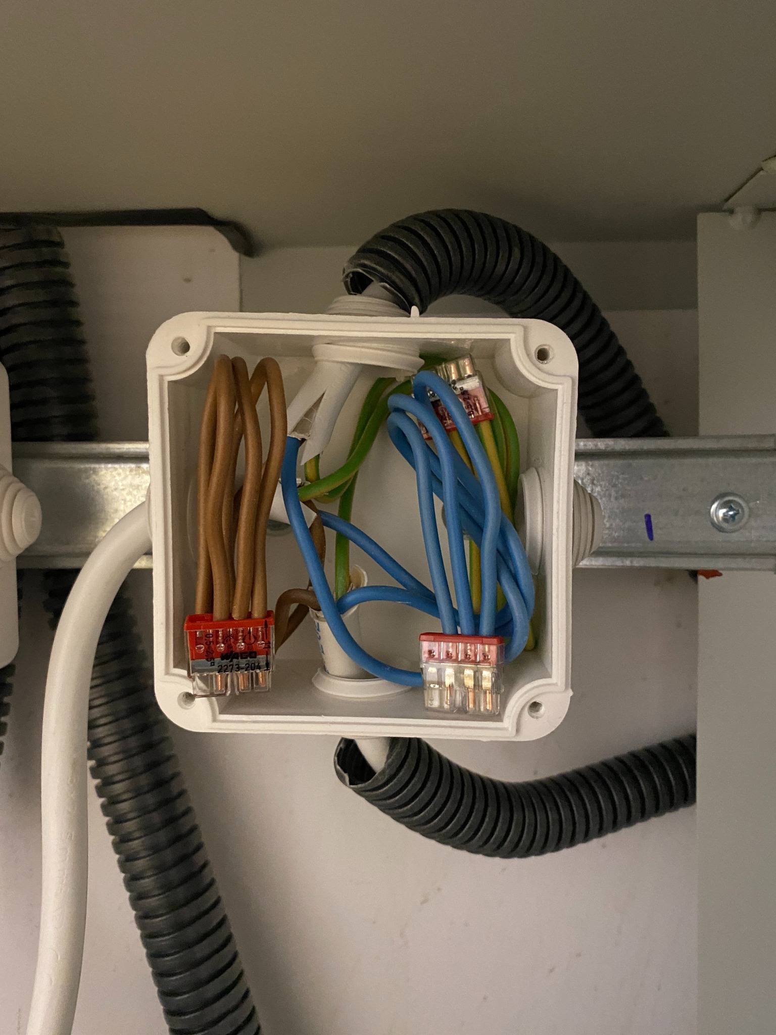 Rozdzielnica elektryczna z przewodami w kolorach: brązowym, niebieskim i zielono-żółtym, podłączonymi do złączek WAGO, zamontowana na szynie.