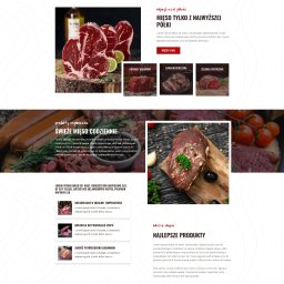 Tworzenie stron internetowych Koronowo 4