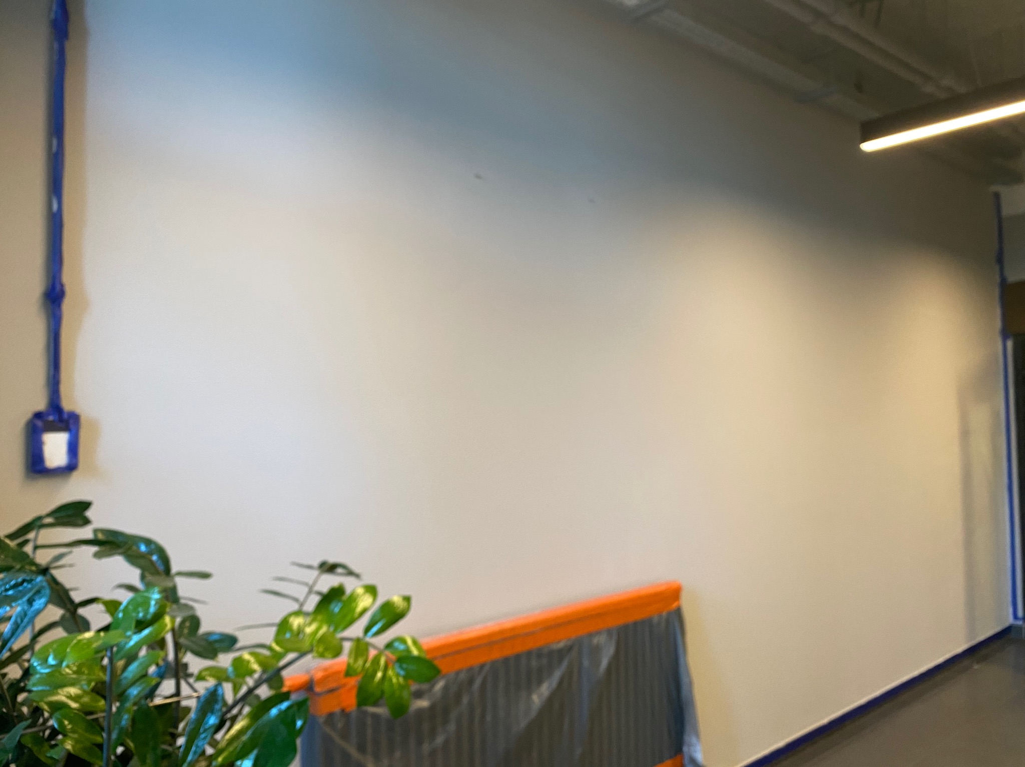 Biała ściana biura po malowaniu, zabezpieczona folią malarską przy podłodze, z widoczną instalacją elektryczną w niebieskiej listwie i rośliną doniczkową w rogu.