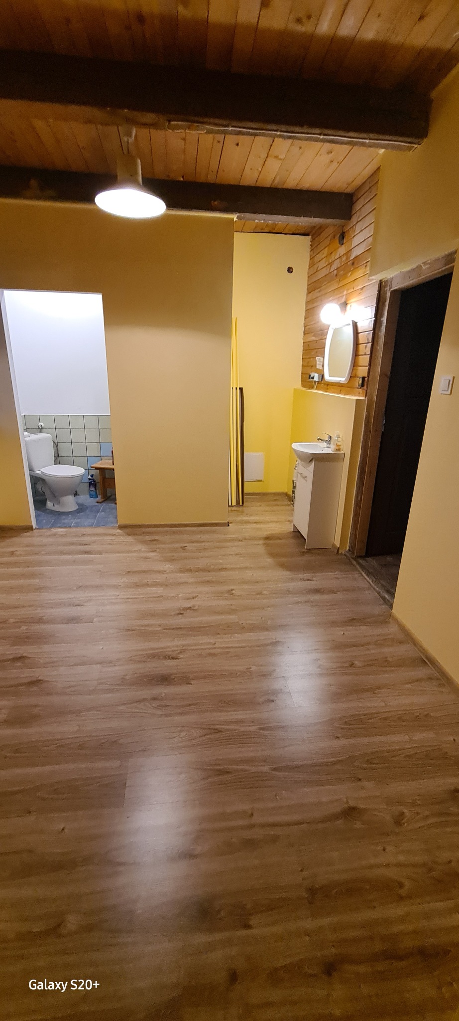 Wykończone wnętrze domu z drewnianą podłogą, widok na łazienkę z toaletą i umywalkę z lustrem, drewniany sufit z lampą.