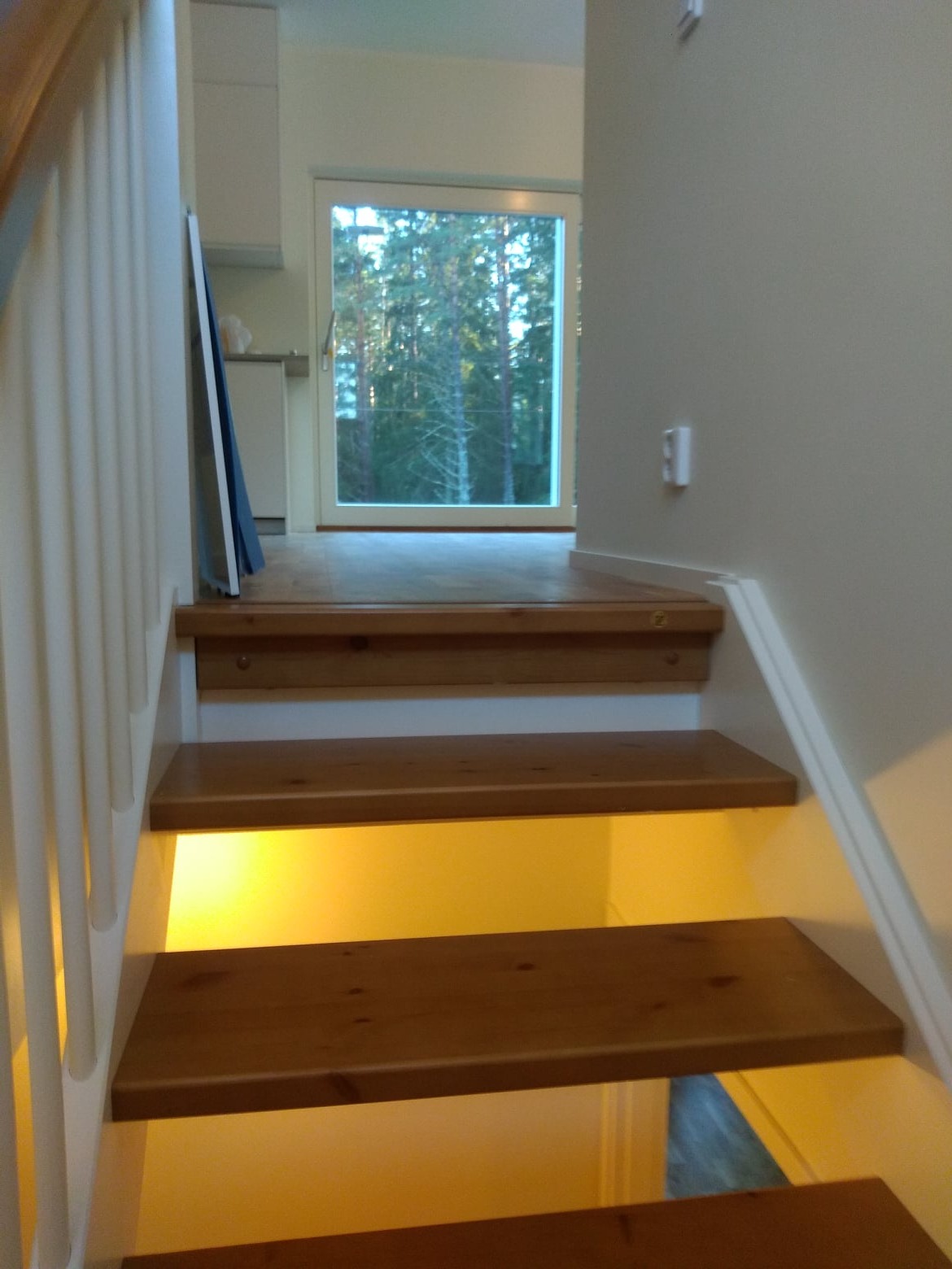 Drewniane schody z podświetleniem LED od spodu, widok z dołu, w tle okno z widokiem na las.