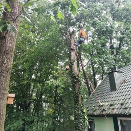 Wycinka  nad dachem od góry 