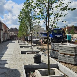 PROGARDEN SPÓŁKA Z OGRANICZONĄ ODPOWIEDZIALNOŚCIĄ - Najlepsze Projektowanie Ogrodów Pruszcz Gdański