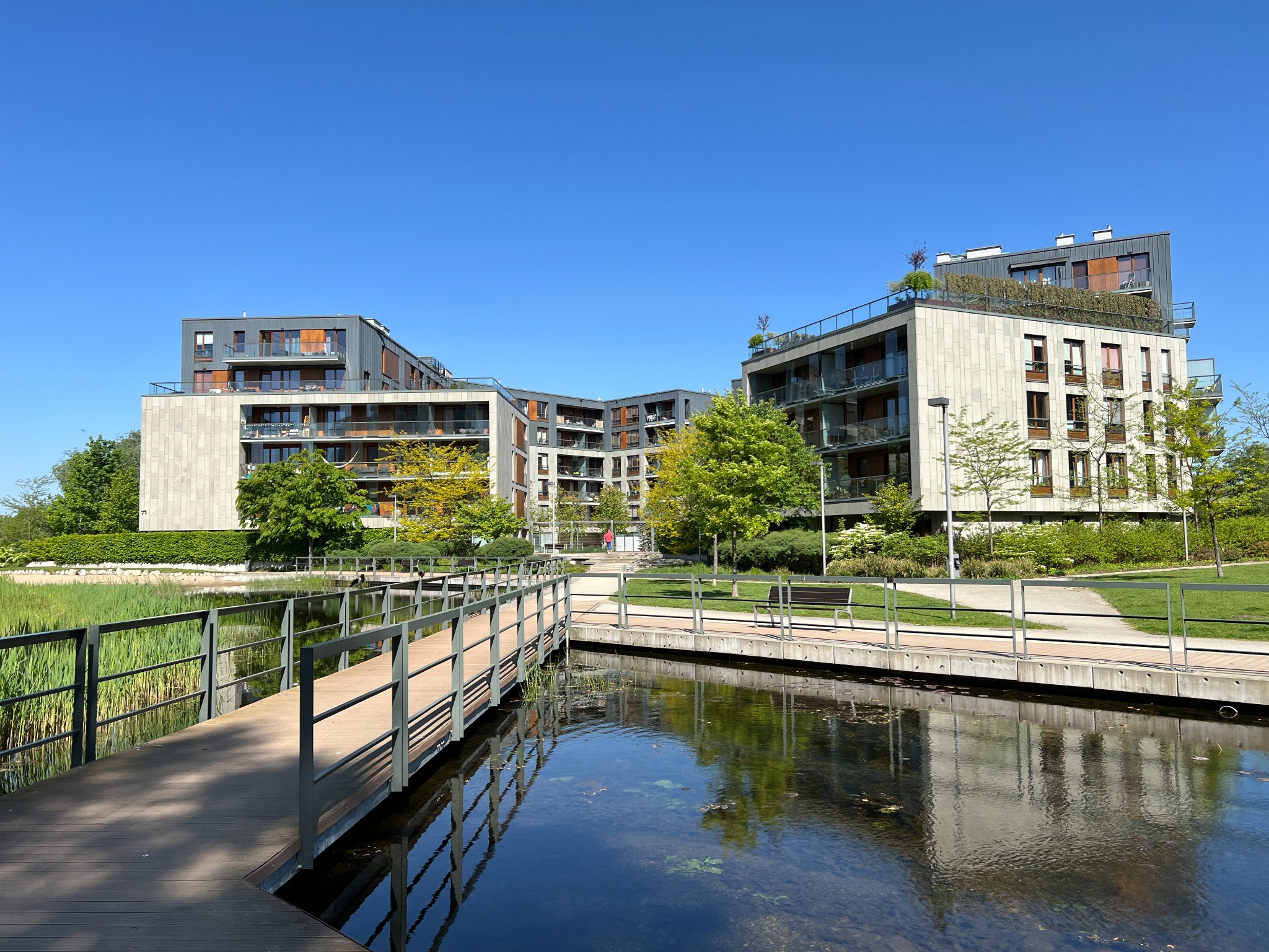 Nowoczesny kompleks apartamentów z zielonymi dachami, widziany znad stawu z drewnianą kładką i metalowymi barierkami, odbicie budynków w wodzie, błękitne niebo.
