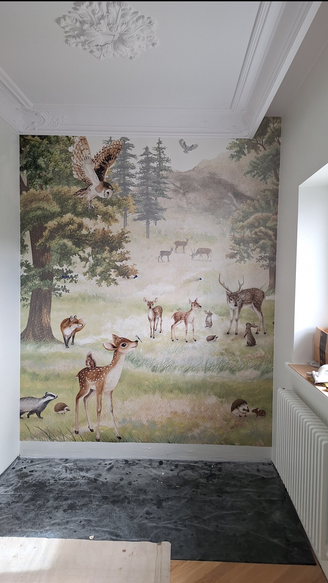 Ściana z fototapetą przedstawiającą leśną scenerię z jeleniami, sarnami, lisem, sową i innymi zwierzętami, z widocznym zabezpieczeniem podłogi podczas prac wykończeniowych.