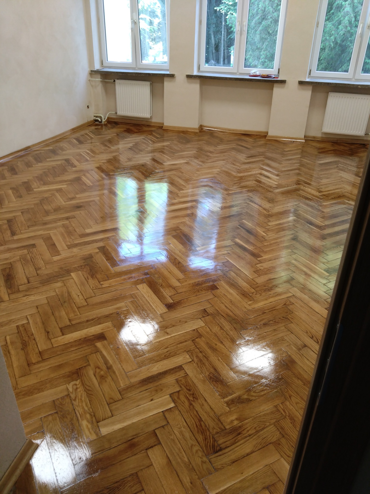 Błyszcząca, odnowiona podłoga z parkietu ułożonego w jodełkę, z widocznymi refleksami światła w przestronnym pokoju z trzema oknami i białymi grzejnikami.