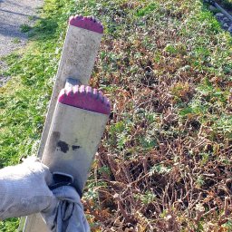 Wycinka drzew Wyry 1