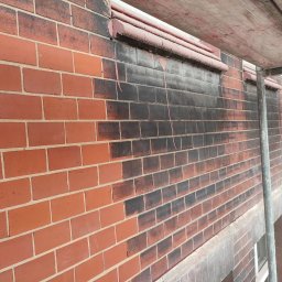 Skrzypek Laser Czyszczący - Konserwator zabytków