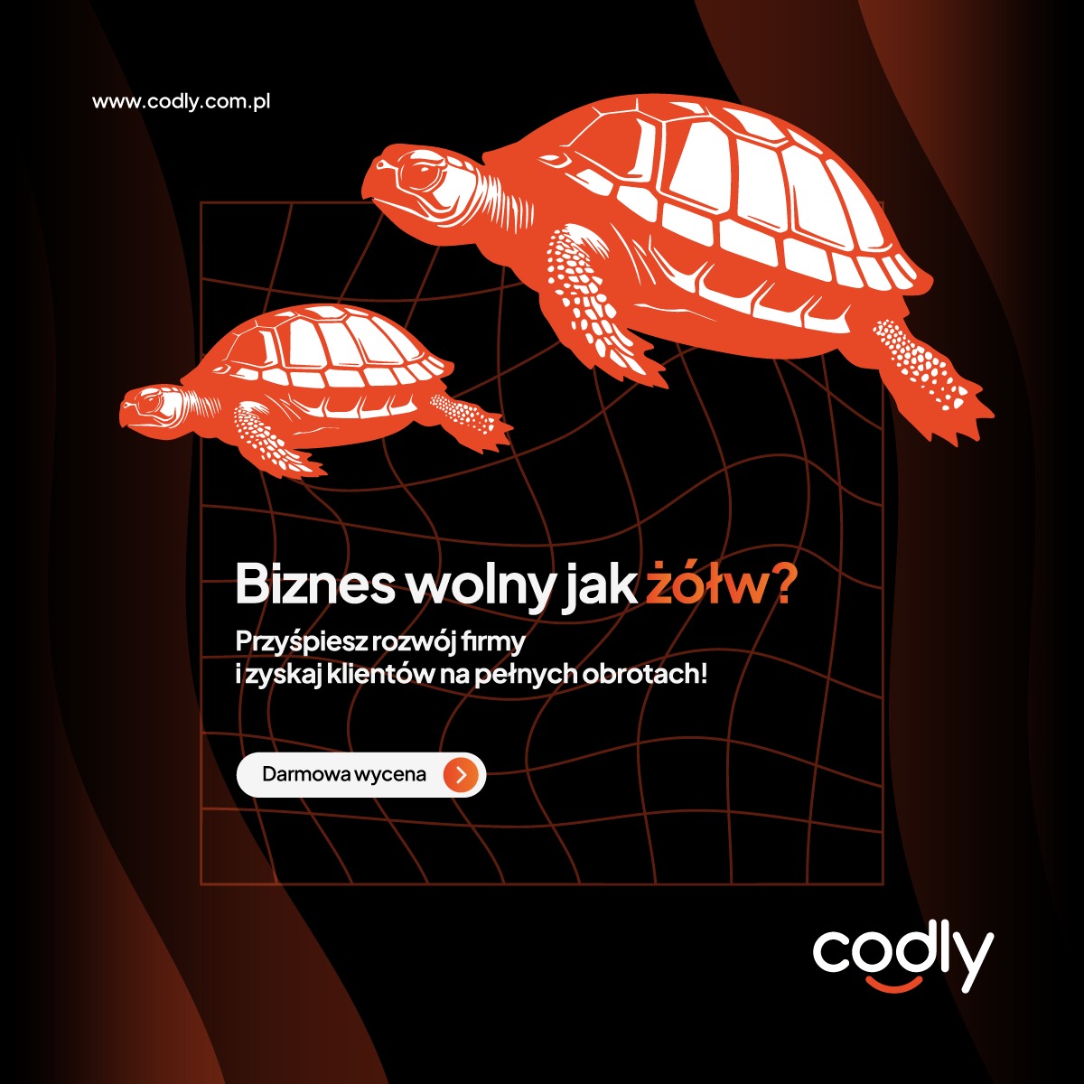 Grafika reklamowa z dwoma pomarańczowymi sylwetkami żółwi na tle czarnej siatki, hasłem 'Biznes wolny jak żółw?' i przyciskiem 'Darmowa wycena'.