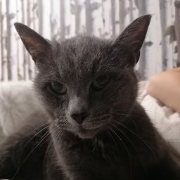 Marek Sałański - Projekty Graficzne Warszawa