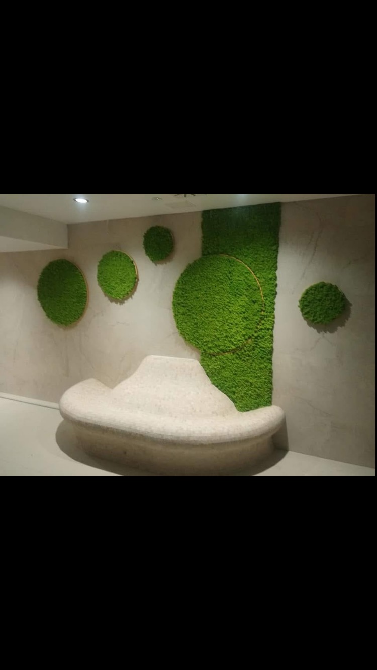 Nowoczesna aranżacja wnętrza z panelami z mchu na ścianie i nietypową, obłą sofą w jasnym kolorze.