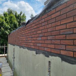 Glazurnik Strzyżewice 2