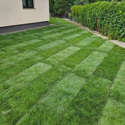 Zakładanie ogrodów Boryszew 4